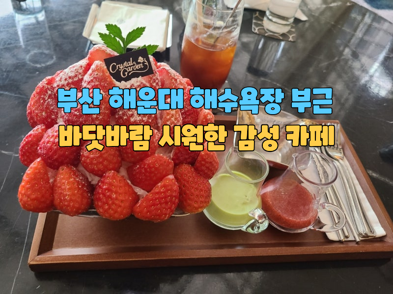 "해운대 해수욕장 부근 바닷바람 시원한 감성카페 5곳"