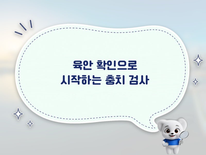 초보라면 꼭 알아야 할 충치 검사 단계: 육안 확인부터 X-ray 판독 기준까지 한 번에 이해