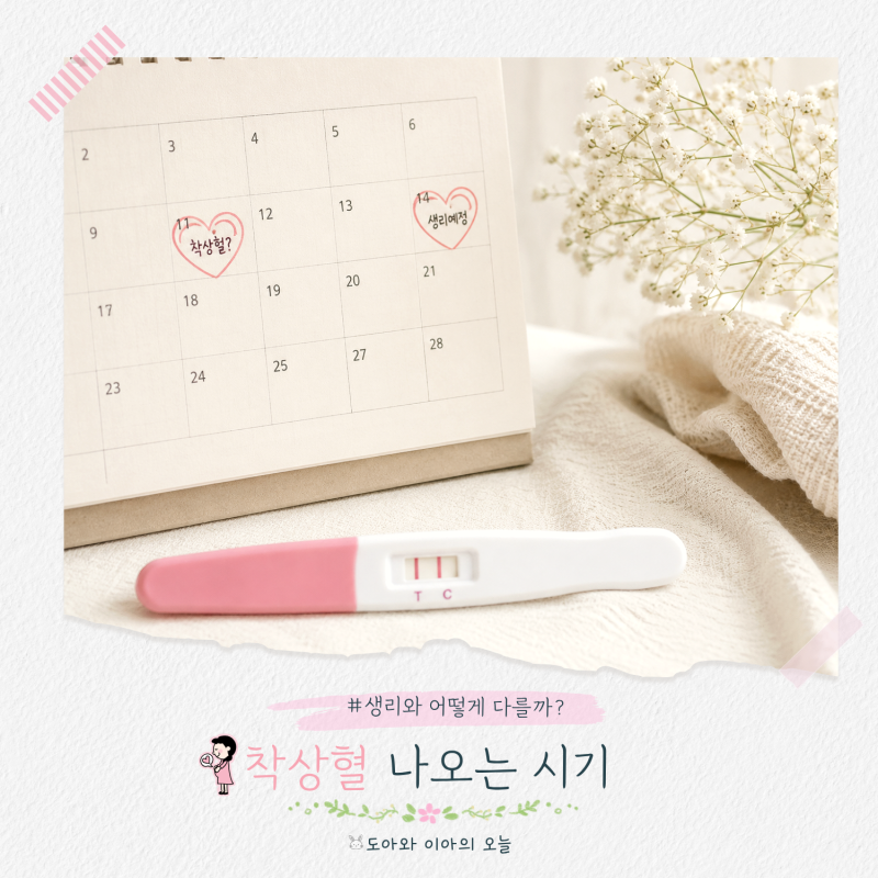 착상혈 나오는 시기와 색깔 특징 생리와 구분법