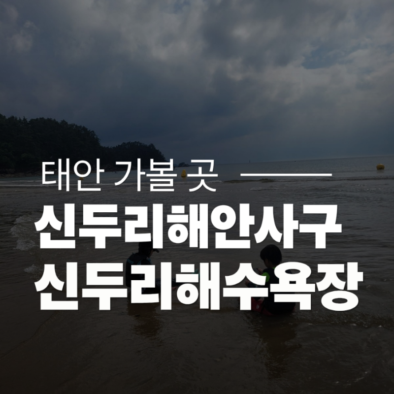 충남 태안 신두리해안사구와 신두리해수욕장 아이와 가본 솔직 후기 물놀이보다 해루질에 ....