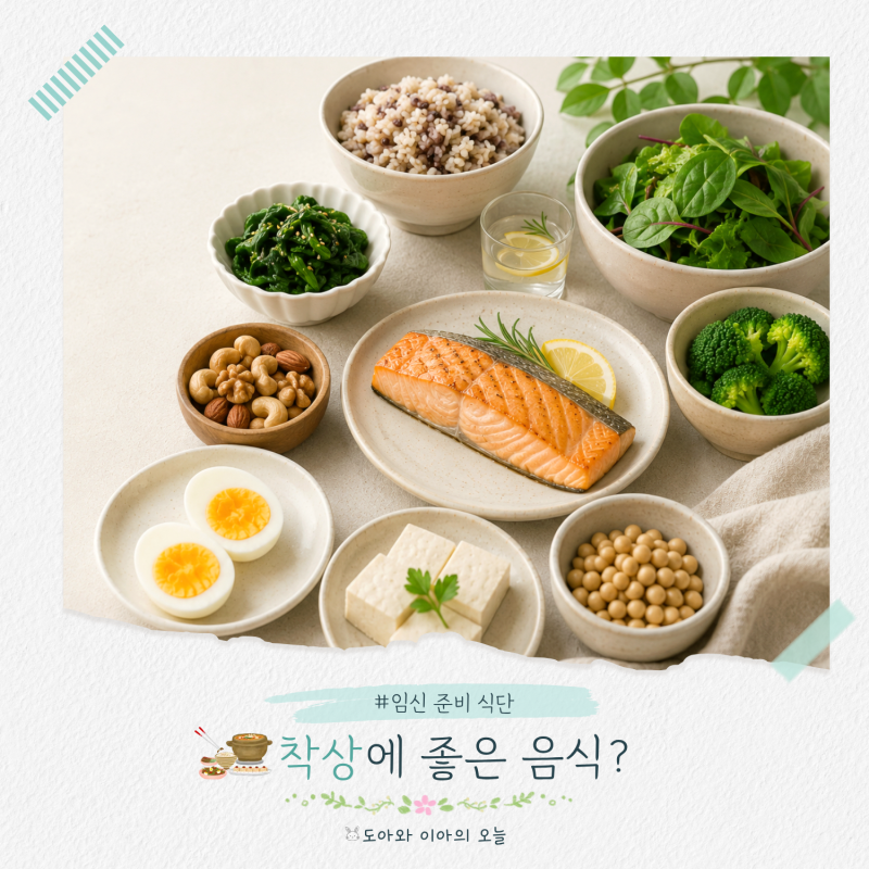 착상에 좋은 음식? 자궁 따뜻하게 해주는 임신 준비 식단 팩트체크