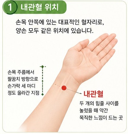 멀미·입덧·가슴 답답할 때, 내관혈(內關穴),마음과 위장의 스위치
