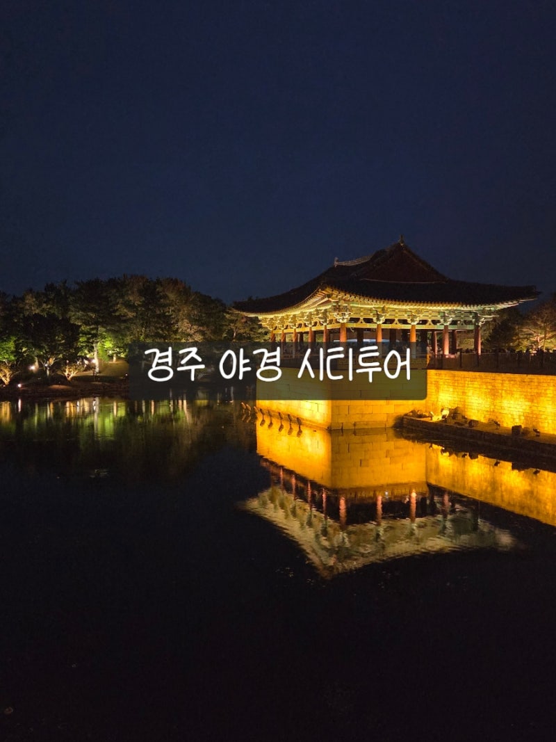 아이와 경주 야경 시티투어