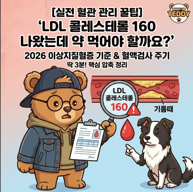 [실전 혈관 관리 꿀팁] "LDL 콜레스테롤 160 나왔는데 약 먹어야 할까요?" 2026 이상지질혈증 기....