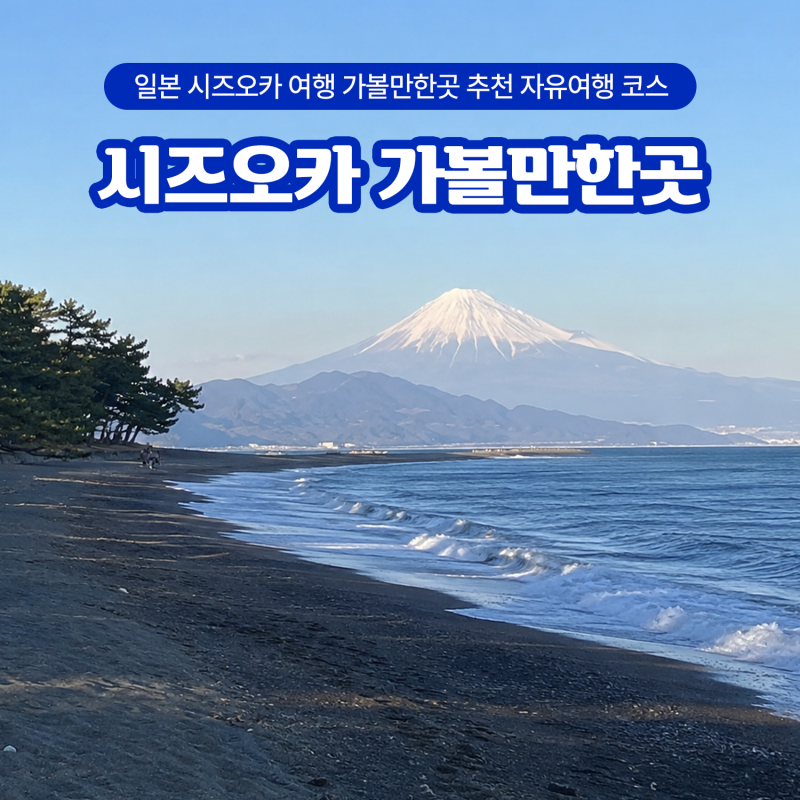 일본 시즈오카 여행 가볼만한곳 추천 자유여행 코스 총정리