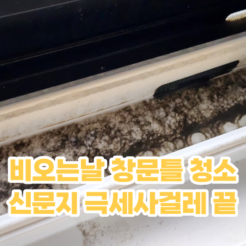 비오는날 창틀 쉽게 청소 하는법 신문지 극세사 걸레 창문틀 먼지 청소하기