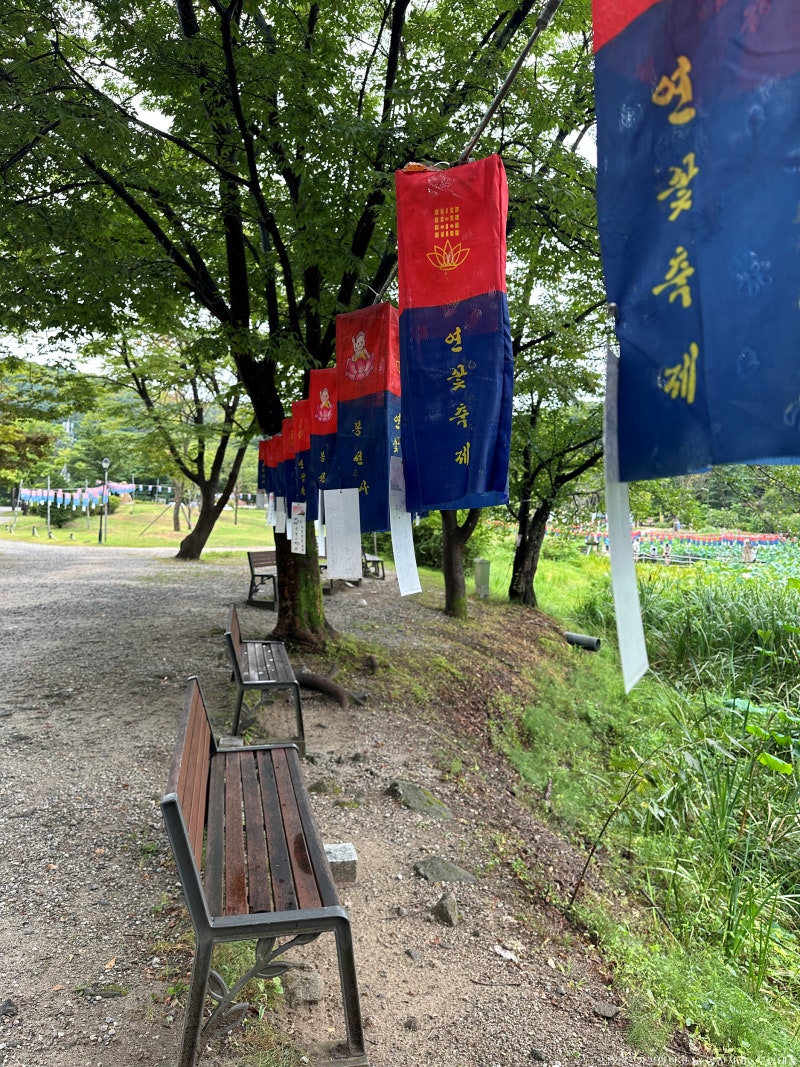 남양주 가볼만한곳 봉선사 연꽃축제 포천 막국수맛집 수한막국수 코스