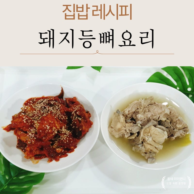 돼지등뼈 요리 황금레시피｜맑은 등뼈탕부터 매운등뼈찜까지 한 번에