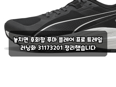 놓치면 후회할 푸마 플레어 프로 트레일 러닝화 31173201 정리했습니다