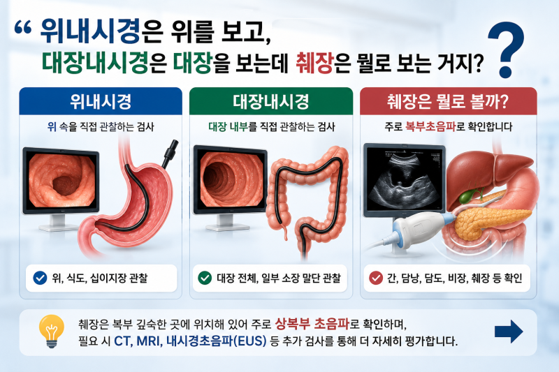 췌장, 초음파로 볼 수 있을까? 검사 방법·금식·비용 쉽게 정리