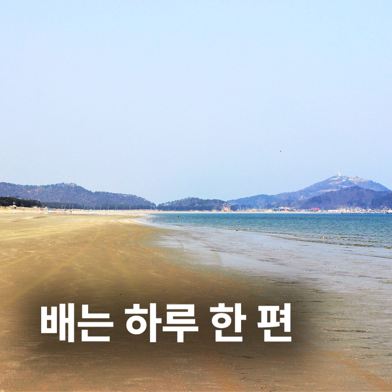 백령도 배편 시간표 요금 예약 방법 배값 정리
