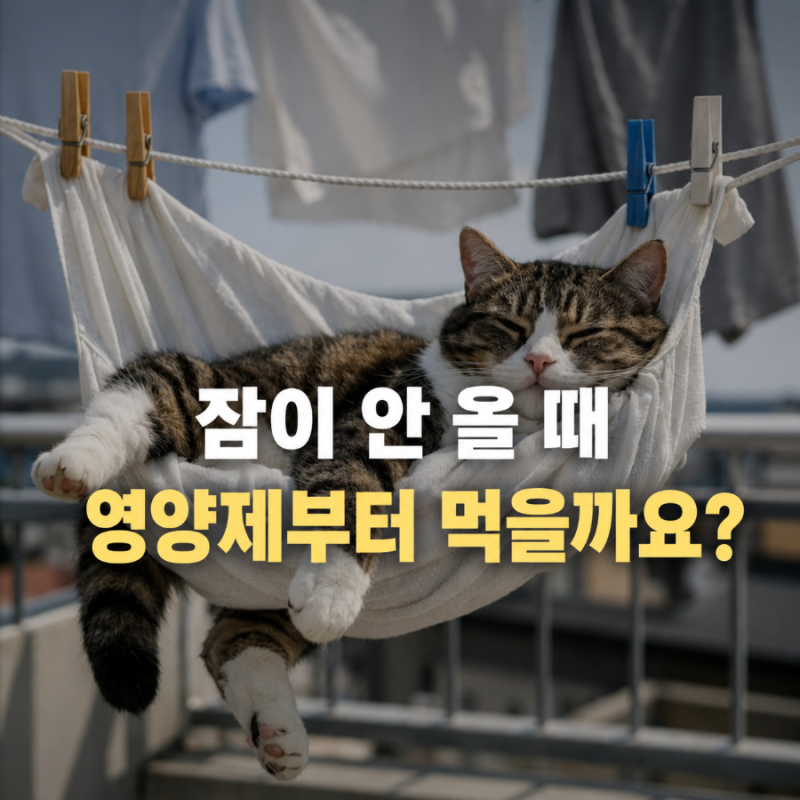 수면 영양제 멜라토닌·마그네슘 차이, 잠 안 올 때 뭘 먹어야 할까?