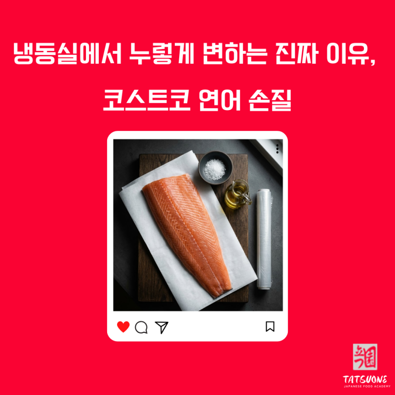 코스트코 연어 손질 보관 소분 냉동 전문가가 싹다 알려드릴게요 연어만 백만년