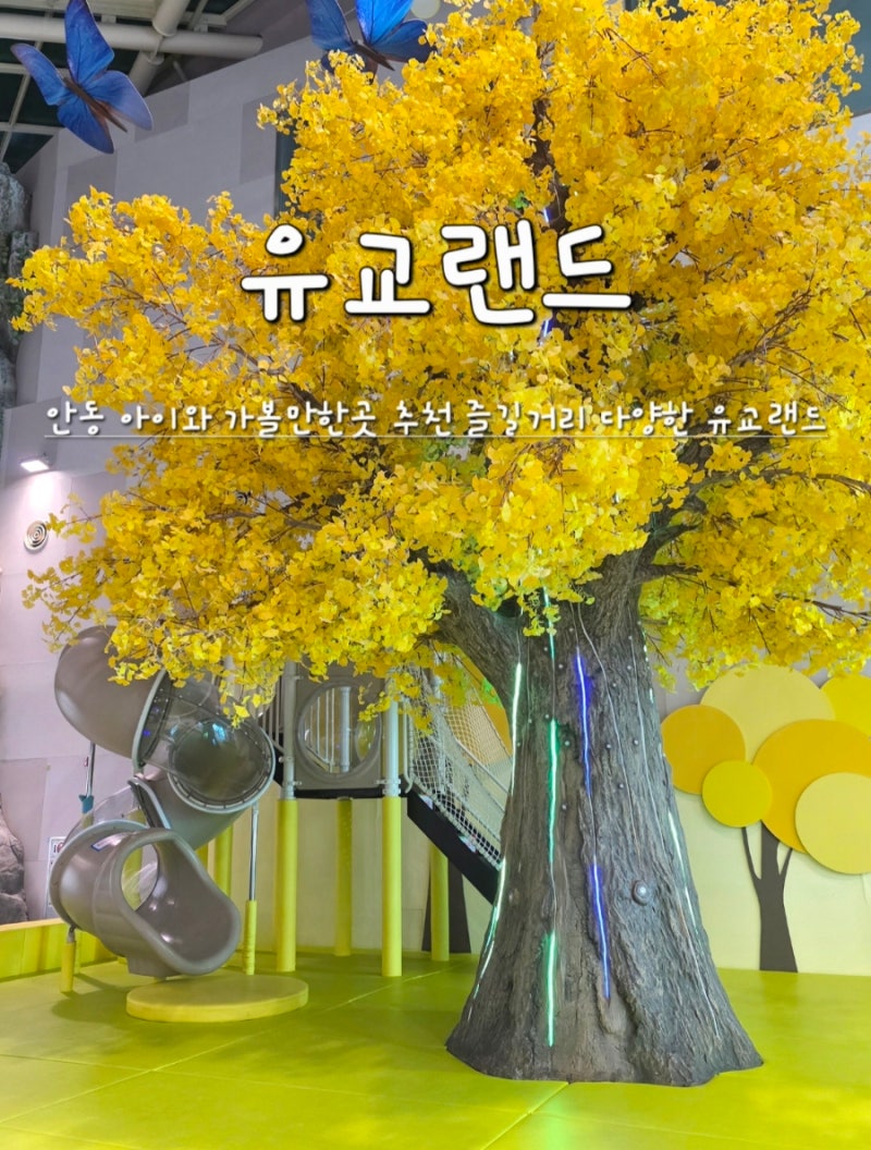 경북 안동 아이와 가볼만한곳 하루 순삭 즐길거리 다양한 안동 문화관광단지 유교랜드