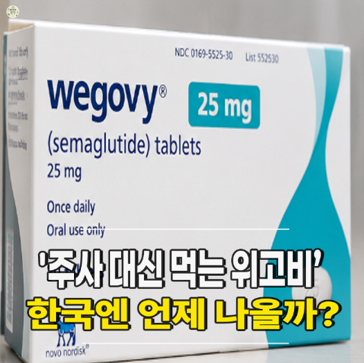 먹는 위고비 국내출시일 가격 후기 처방, 주사 대신 알약으로 가능할까?