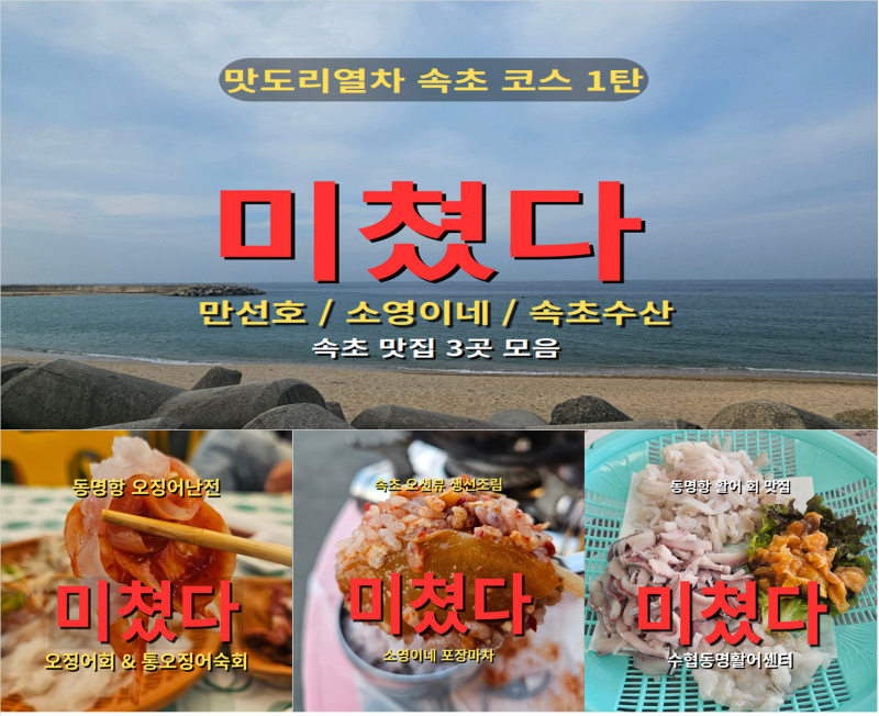 속초 맛집 추천 | 맛도리열차 여행 3곳｜오징어난전·영랑동 포차거리·동명항 활어회센터