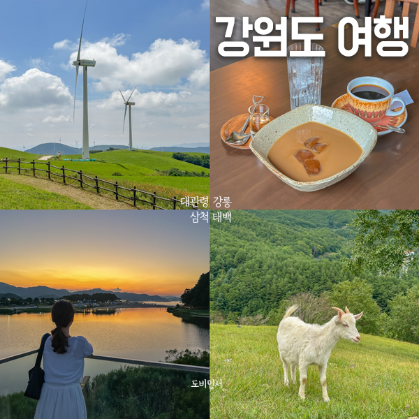 강원도 여행지 추천, 강릉 대관령 삼척 태백 여행 코스