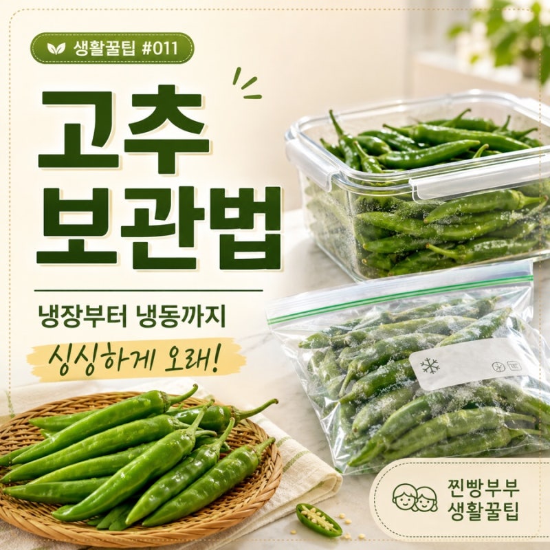생활꿀팁 #011️| 고추 오래 보관하는 법 | 청양고추·풋고추 냉장부터 냉동보관까지 총정리