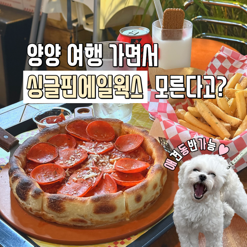 양양 애견동반 싱글핀에일웍스, 취향대로 고르는 힙한 피자 맛집