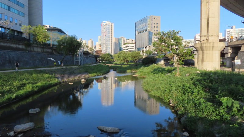 서울 걷기 좋은 길, 청계천 산책로 코스 1