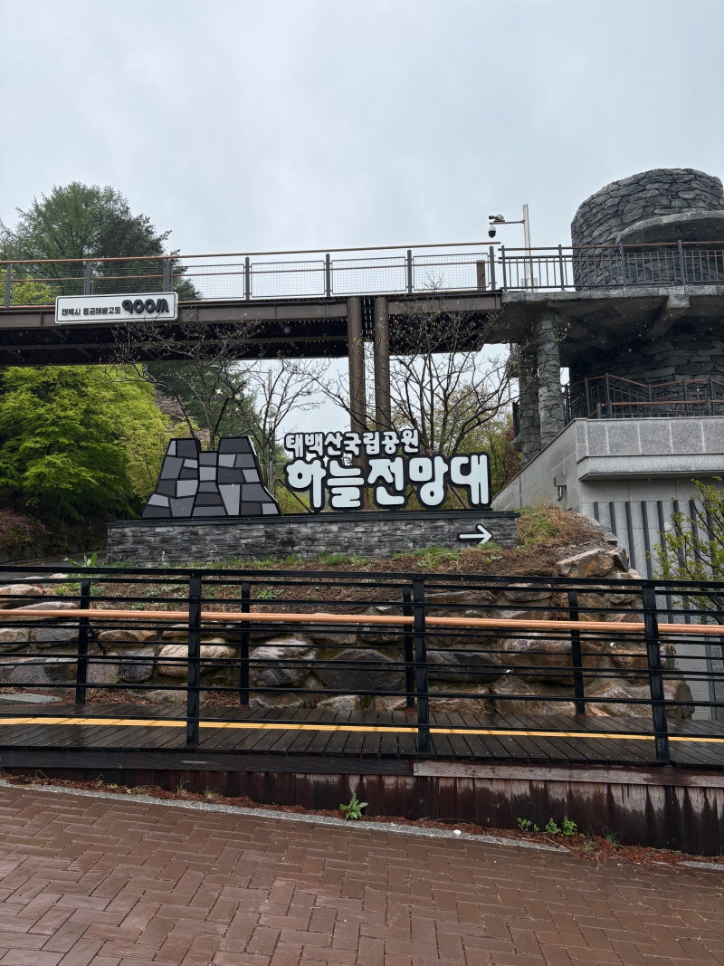 [강원도/태백] 2박 3일 태백 여행 코스 추천｜ 3일차 가볼만한곳