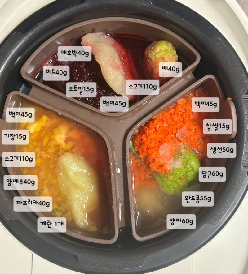 9개월 아기 후기 이유식 식단｜밥솥 이유식 3일치 레시피, 소고기, 흰살생선 메뉴
