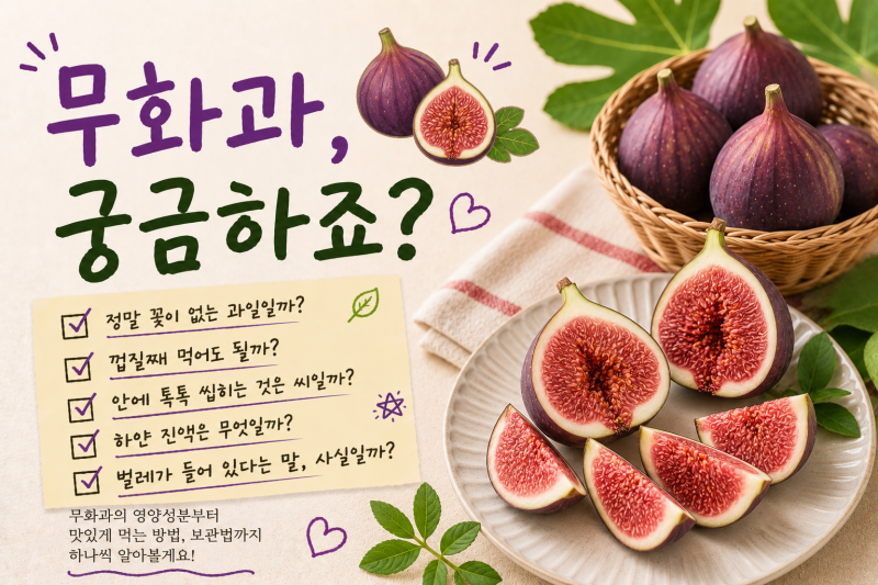 무화과는 정말 꽃이 없을까? 껍질째 먹어도 될까? 우리가 몰랐던 무화과 이야기