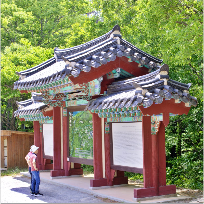 경남 합천 가볼 만한 곳 유명한 절 가야산 국립공원 해인사 성보박물관 가야산 야생화 식물....