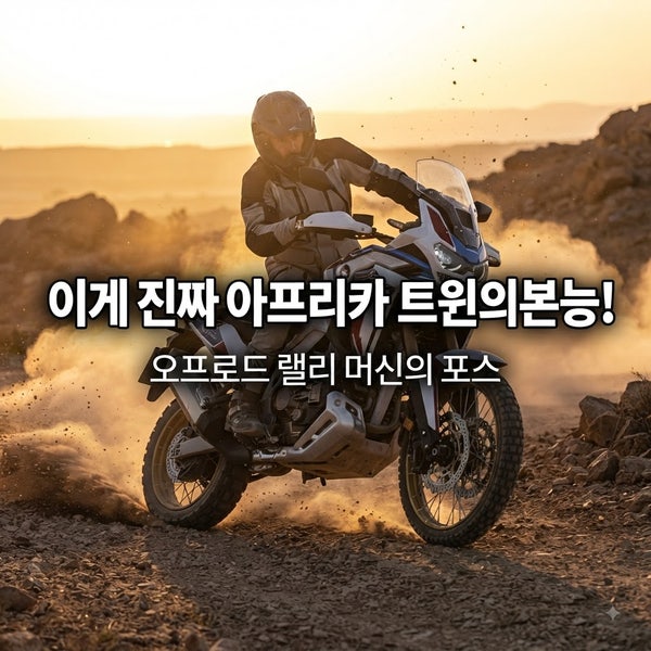 혼다 아프리카 트윈 구매 전 필독! 90%가 놓치는 현실적인 장단점