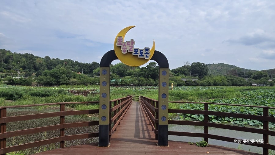못안못 사진 1