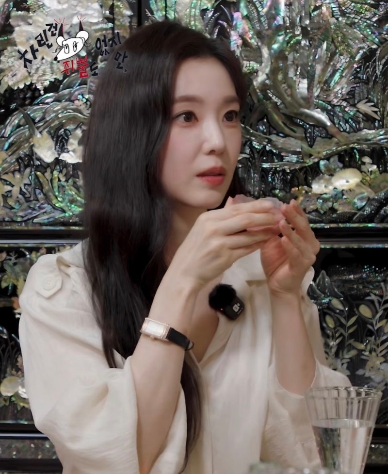 차쥐뿔 아이린 미모 무슨 일… 가방 블라우스 시계 정보