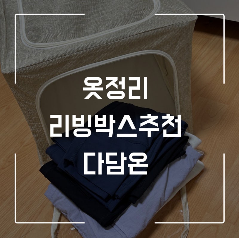 리빙박스 추천｜다담온 리빙박스 투명리빙박스 아기옷정리함