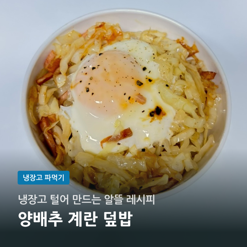 냉장고 파먹기 양배추 계란 덮밥 레시피