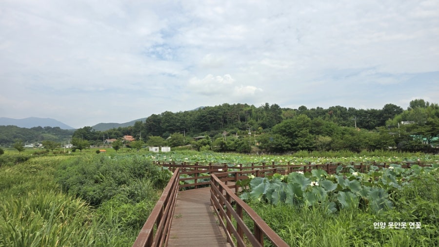 못안못 사진 4