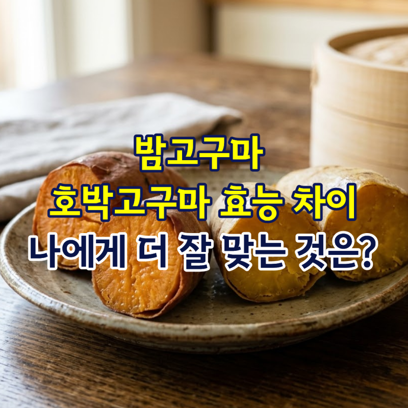 밤고구마 호박고구마 효능 차이, 나에게 더 잘 맞는 것은?