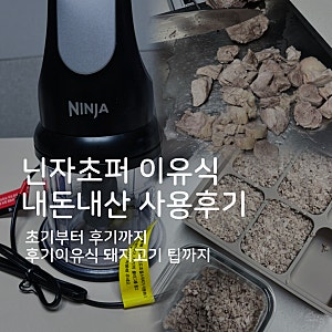 닌자초퍼 내돈내산 후기 : 이유식 필수템, 후기 이유식 돼지고기 꿀팁까지