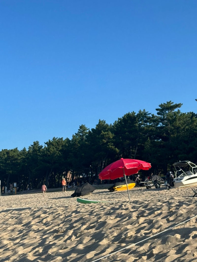 2608 강릉여행-1 / 송정해수욕장•중앙시장 주차•툇마루 웨이팅•장칼국수