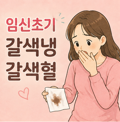 임신초기 갈색냉 갈색혈 실제 지인들 경험 원인 미리 알아둘 3가지
