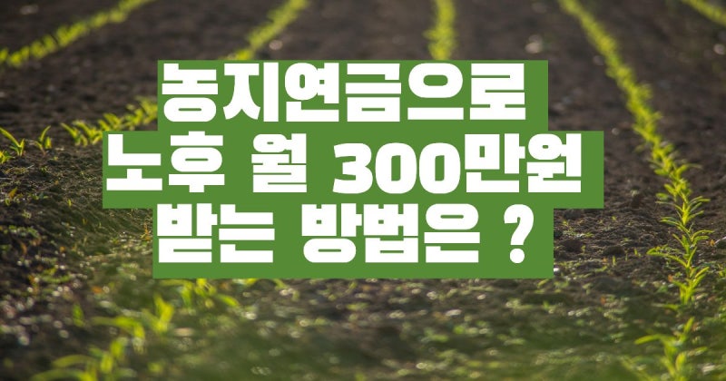 농지연금으로 월 300만원, 자격 조건과 금액 신청 방법 | 상속 가능할까 ?