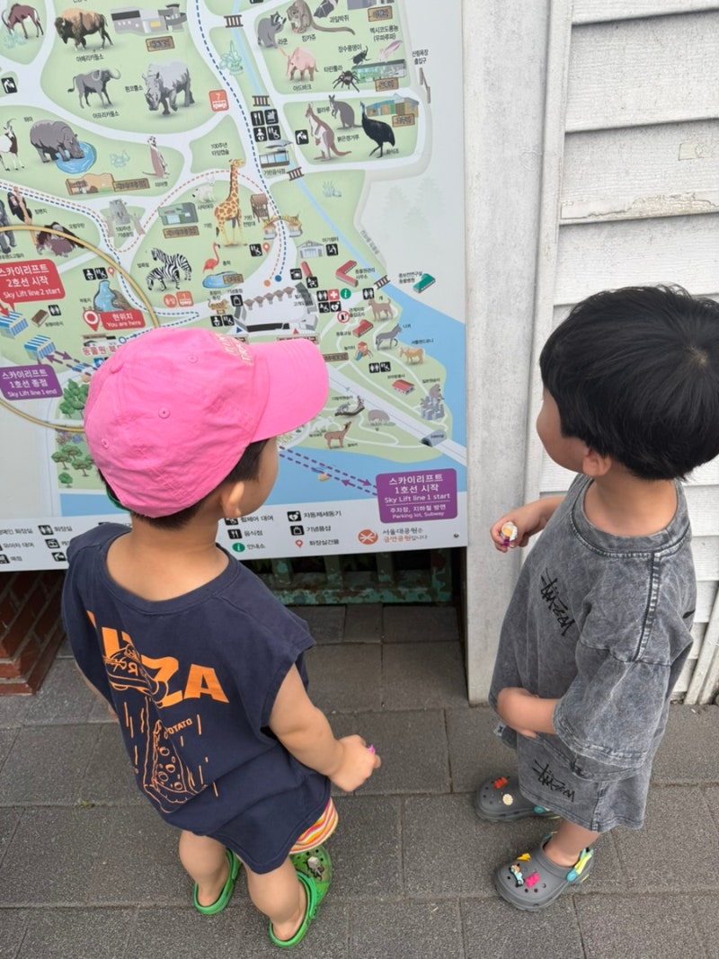 과천서울대공원 캠핑장 아이와 다녀온 후기｜주차부터 계곡, 놀이터 꿀팁