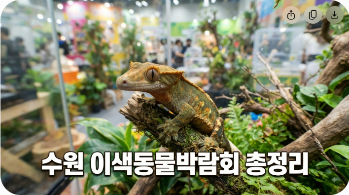 수원 이색동물박람회 관람 안내 및 사전예약 혜택 총정리