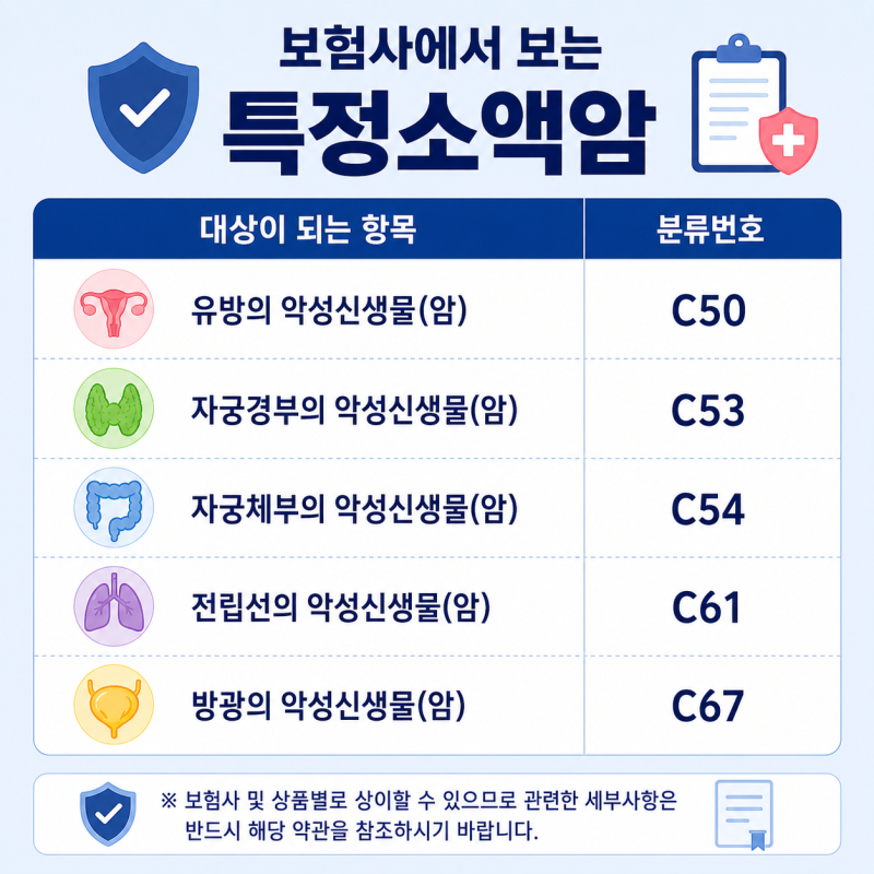 특정소액암 종류 5가지, 암진단비에서 꼭 구분해서 봐야 하는 이유