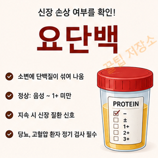 건강검진 요단백 수치 의미, 정상 범위, 상승 원인, 증상 및 관리방법