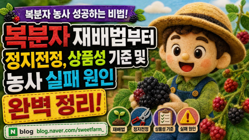 복분자 재배법부터 정지전정, 상품성 기준 및 농사 실패 원인 완벽 정리