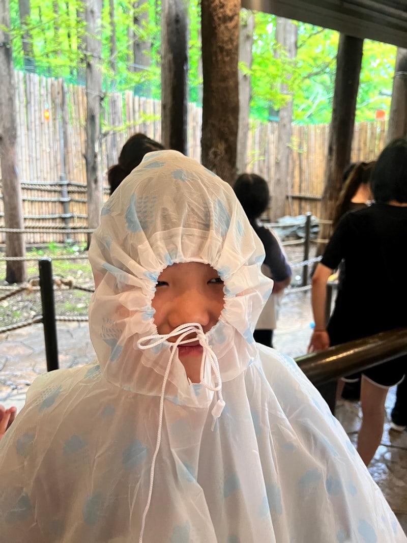 울빈별 삼남매와 함께 한 여름방학 용인 에버랜드 준비물 이용후기