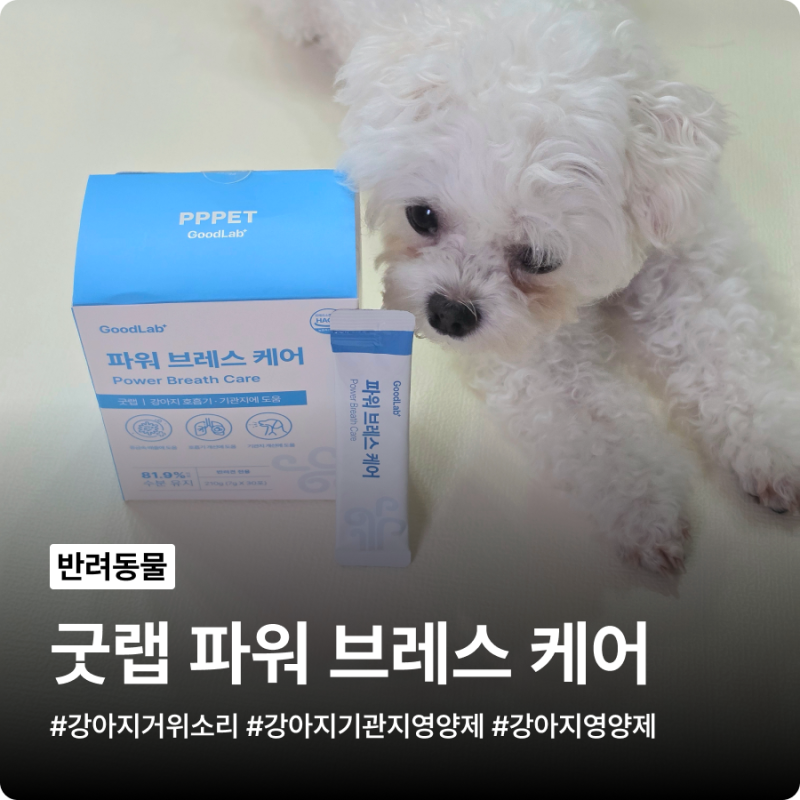 강아지 거위소리 잡는 PPPET 펫펫펫 굿랩 파워 브레스 케어 강아지 기관지 영양제 내돈내산 후....