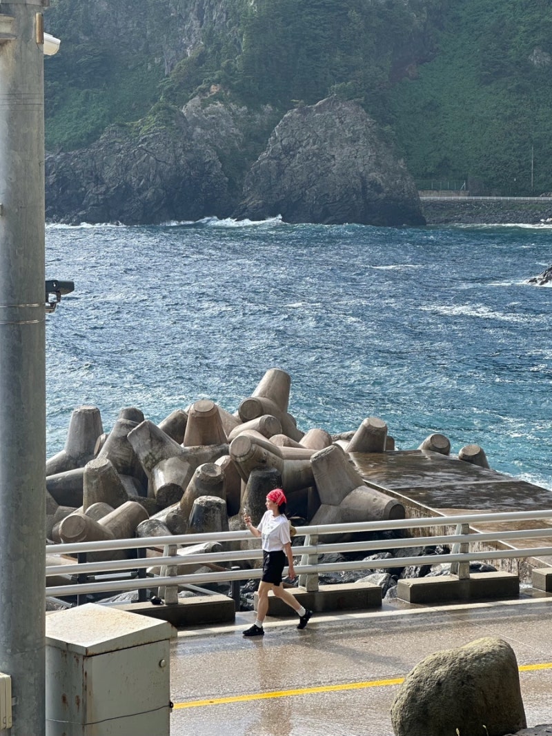 [울릉도] 여름휴가 1일차ㅣ울릉크루즈 6인실/아리랑김밥 워크인 포장/깃대봉 산행/나리분지/....