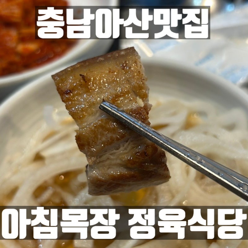 충남 아산 맛집 아침목장 정육식당 돼지고기 종류별로 먹은 가족 외식 후기
