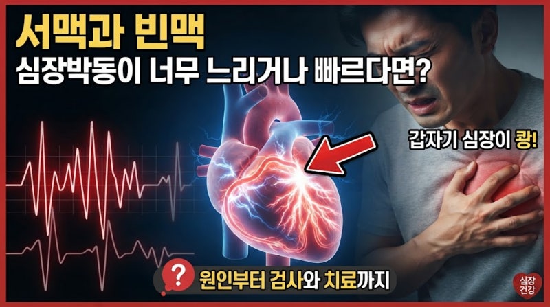 서맥과 빈맥, 심장박동이 너무 느리거나 빠르다면? 원인부터 검사와 치료까지