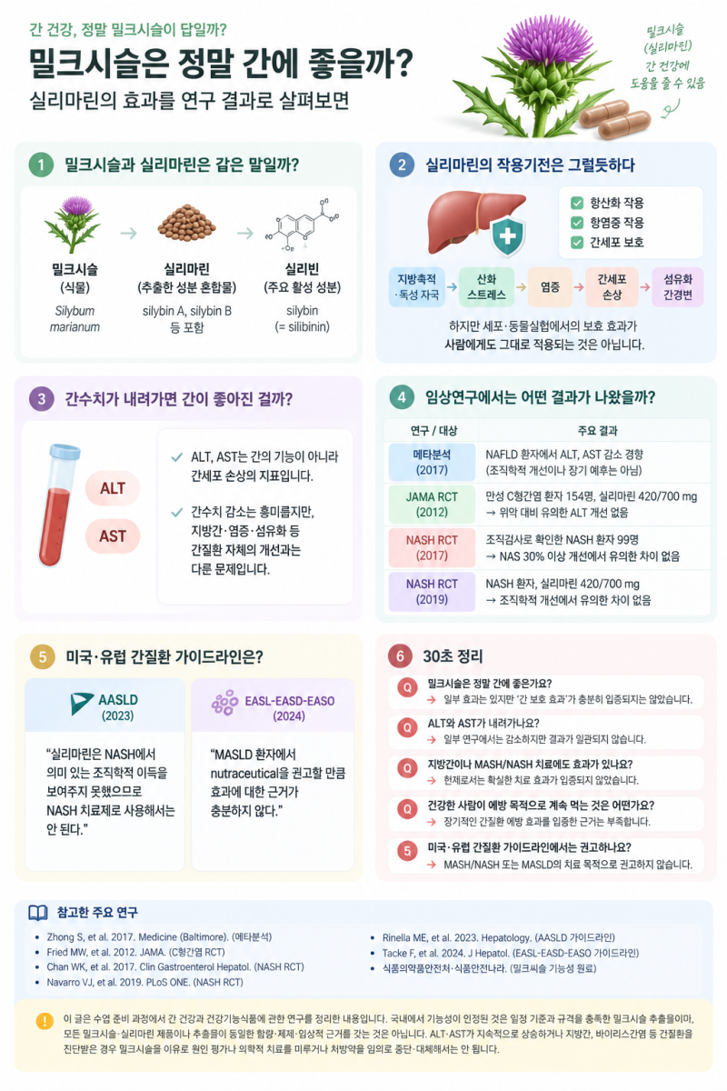 밀크시슬은 정말 간에 좋을까?